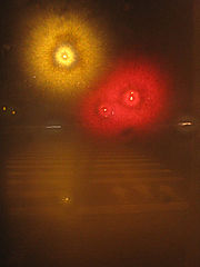 photo "nightmare"
