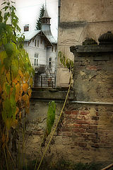 photo "Old Wall"