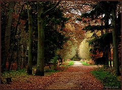 photo "beautiful promenade"