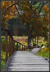 photo "Ladder at autumn"