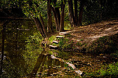 photo "***"