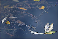 photo "***"