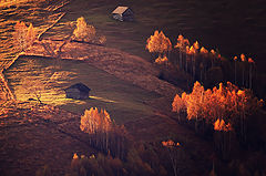 фото "...."
