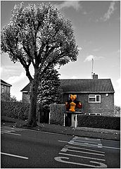 photo "***"