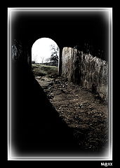 photo "***"