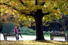 фото "Meeting in the fall / Встреча в падении"