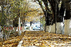 photo "***"
