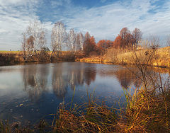 фото "Осенний уголок"
