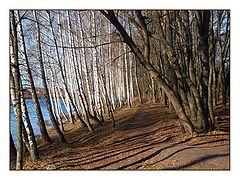 photo "***"