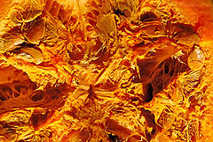 photo "***"
