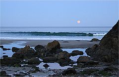 photo "The moon and the sea."