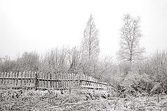 photo "***"
