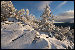 photo "The First Snow / 0205_0059"