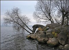 фото "Поздняя осень"
