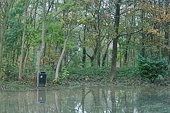 photo "The wild trashcan"
