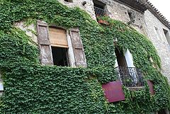 фото "old walls"