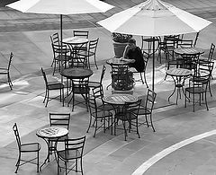 фото "The Waiting Game"