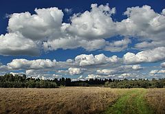 photo "Road to area of shades"