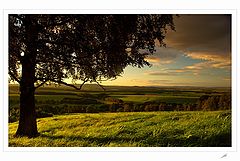 фото "Late Light"