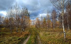 фото "Дорога в осень."