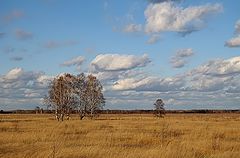 фото "Осенняя."