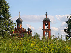 фото "Травы цветут"