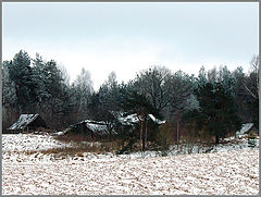 фото "старость"
