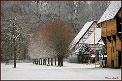 фото "Winter in the village"
