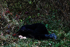 photo "baby"