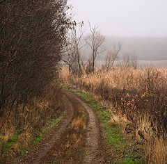 фото "Дорога в позднюю осень"