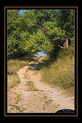 photo "Summer road"