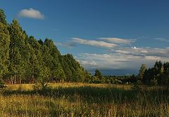 photo "Warm evening"