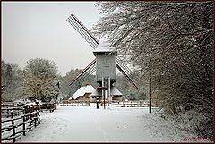 фото "open air museum windmill"