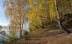 фото "Золото осени."