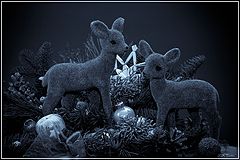 photo "***"