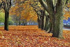 фото "Koenigsberg autumn2"