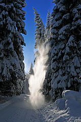 photo "Winter im Harz"