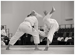 фото "Flight"