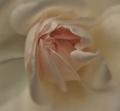 photo "***"