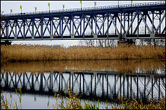 photo "Surface"