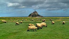 photo "Together with sheep to the abbey"