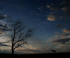 photo "***"