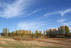 photo "***"