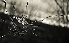 photo "***"