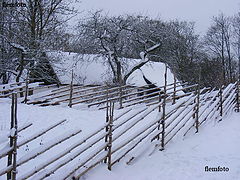 фото "Winter."