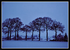 photo "***"
