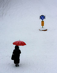 photo "su"