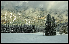 photo "***"