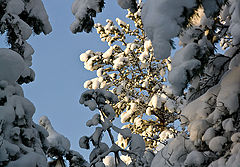 фото "зимнее окно."