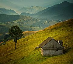 фото "."